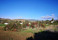 Фото 9