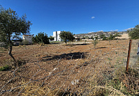 Фото 6