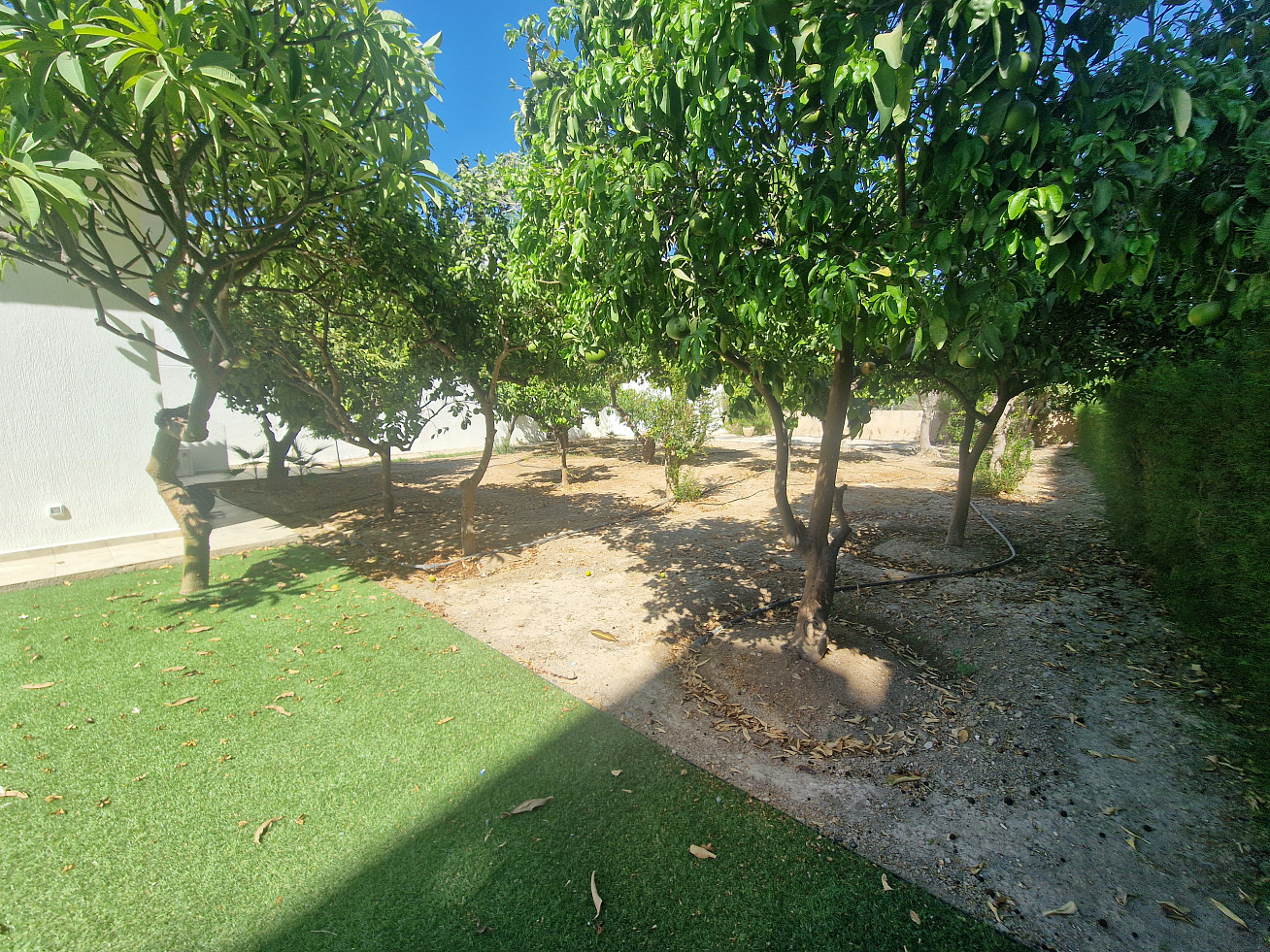 Photo 38