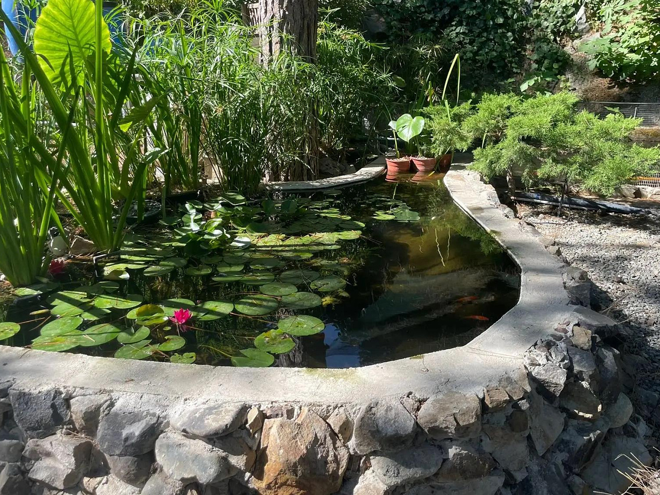 Photo 22