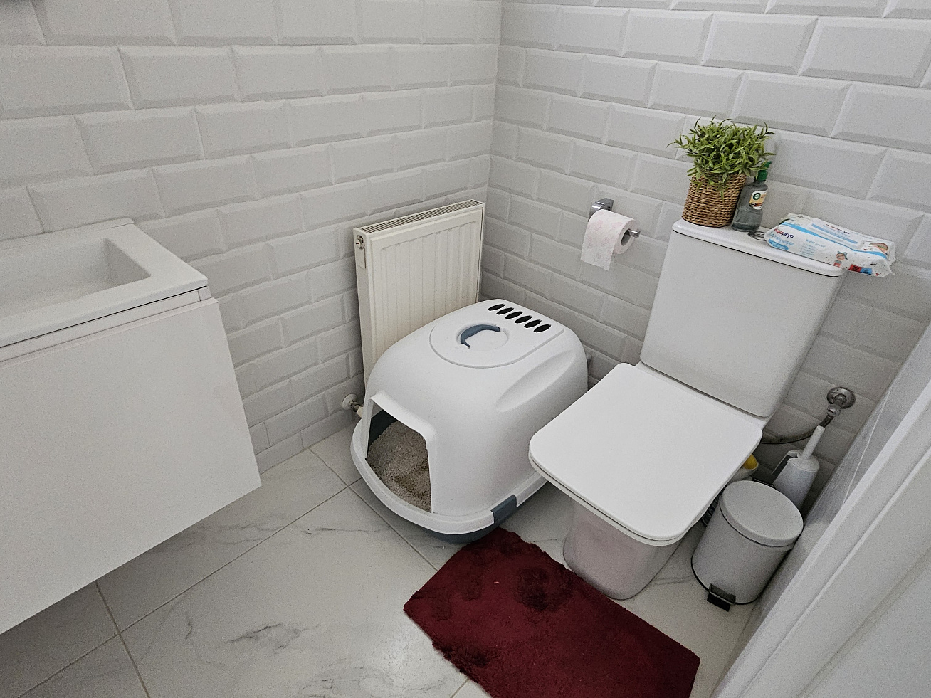Photo 18