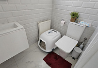 Photo 51