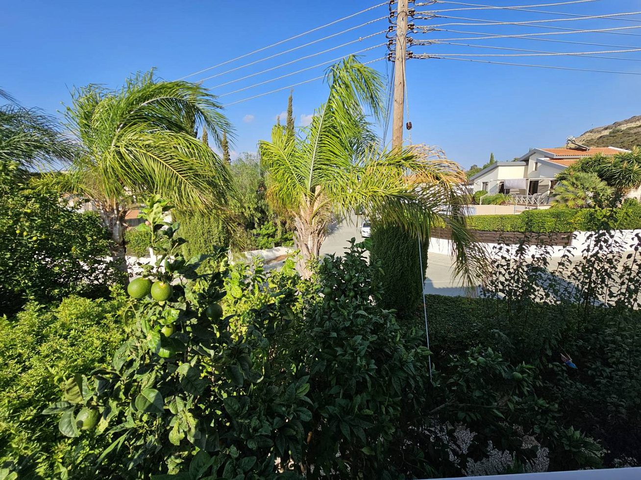 Photo 32