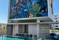 Фото 15 Фото 15