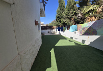 Photo 48
