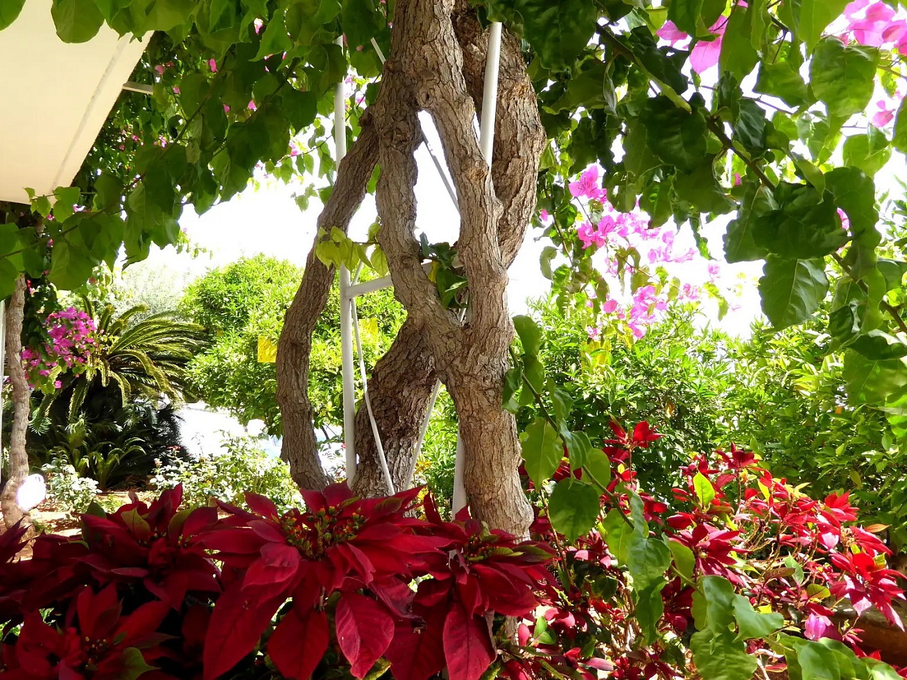 Фото 9