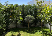 Фото 42