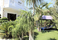 Photo 41