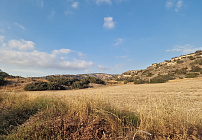 Фото 9