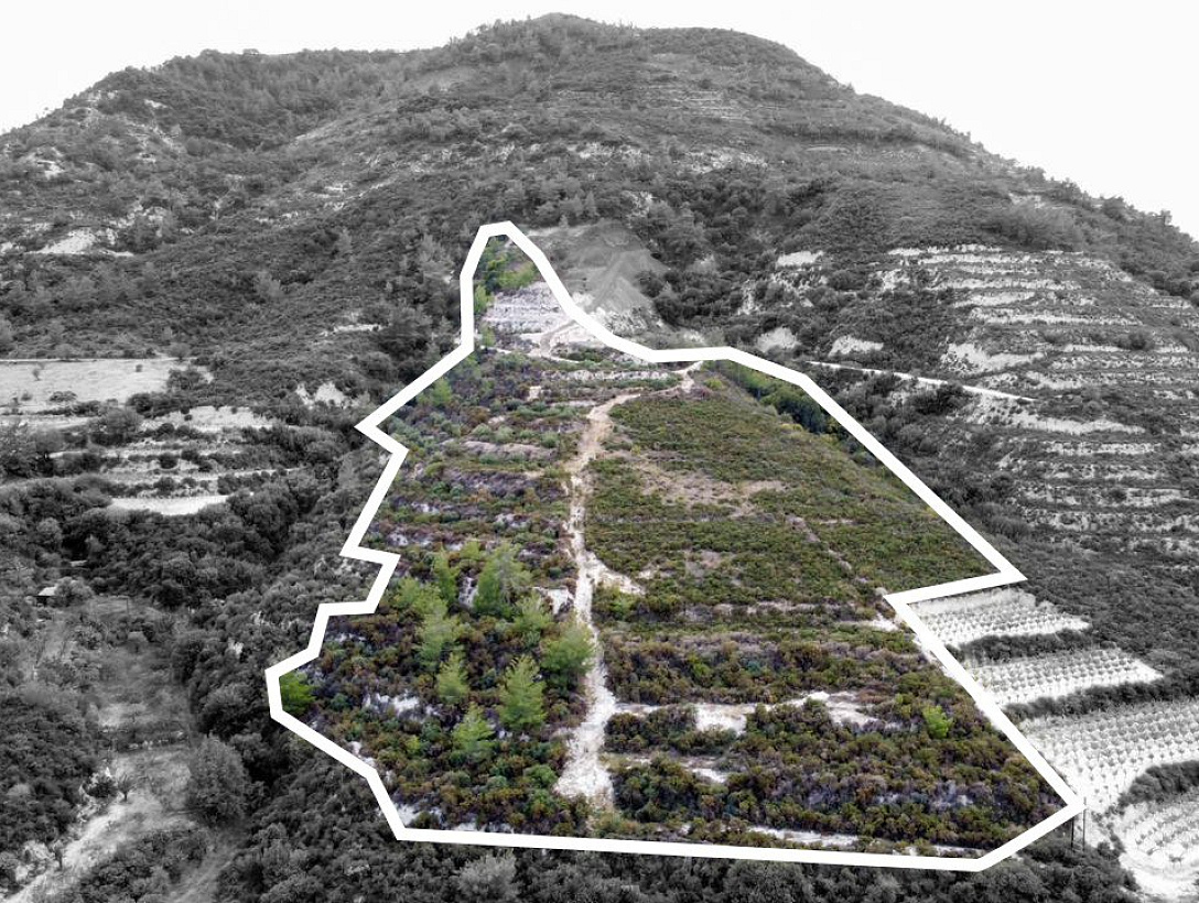 Земля в Лимассоле