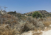 Фото 9