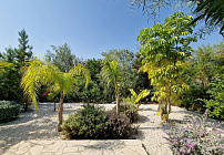 Photo 47