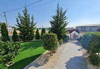 Photo 45
