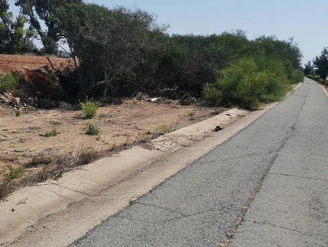 Земля в Фамагусте