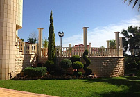 Photo 44