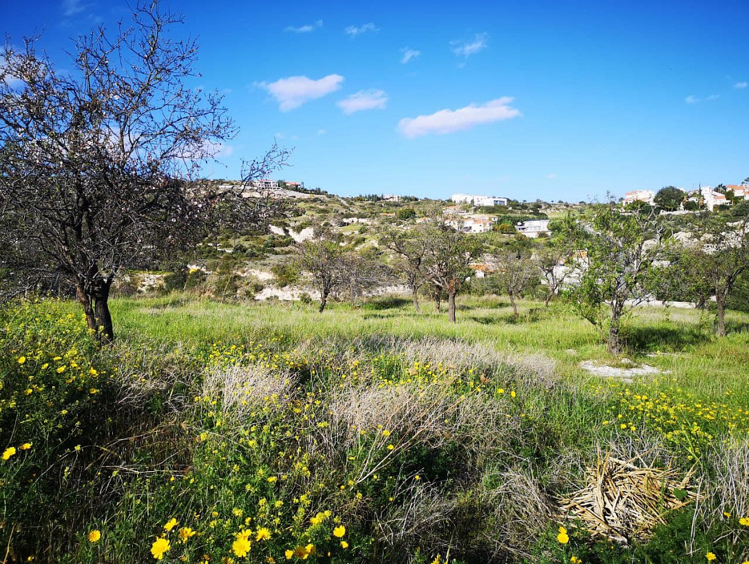 Land in Limassol