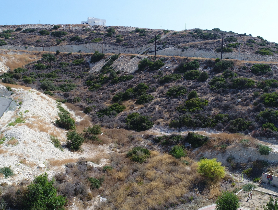 Земля в Лимассоле