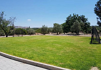Photo 49