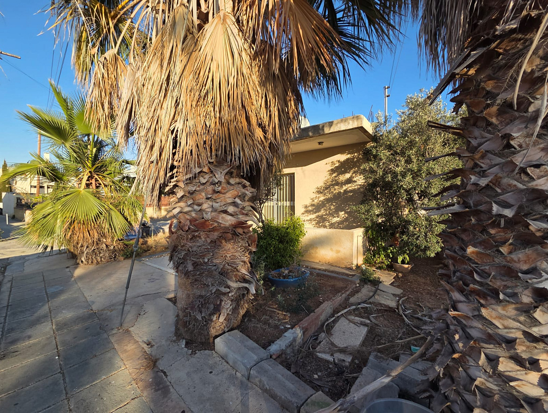 House in Paphos