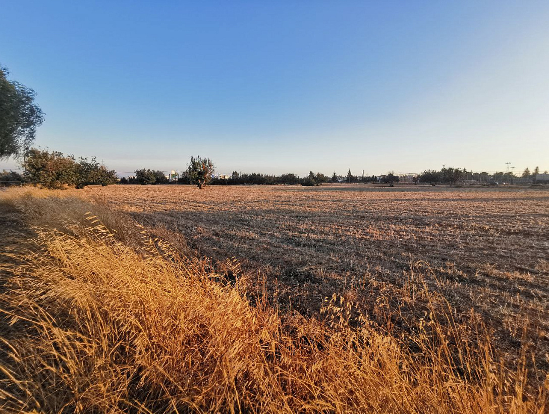 Land in Limassol