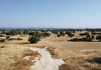 Фото 9