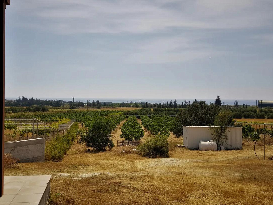 Земля в Ларнаке