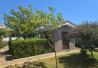 Photo 46