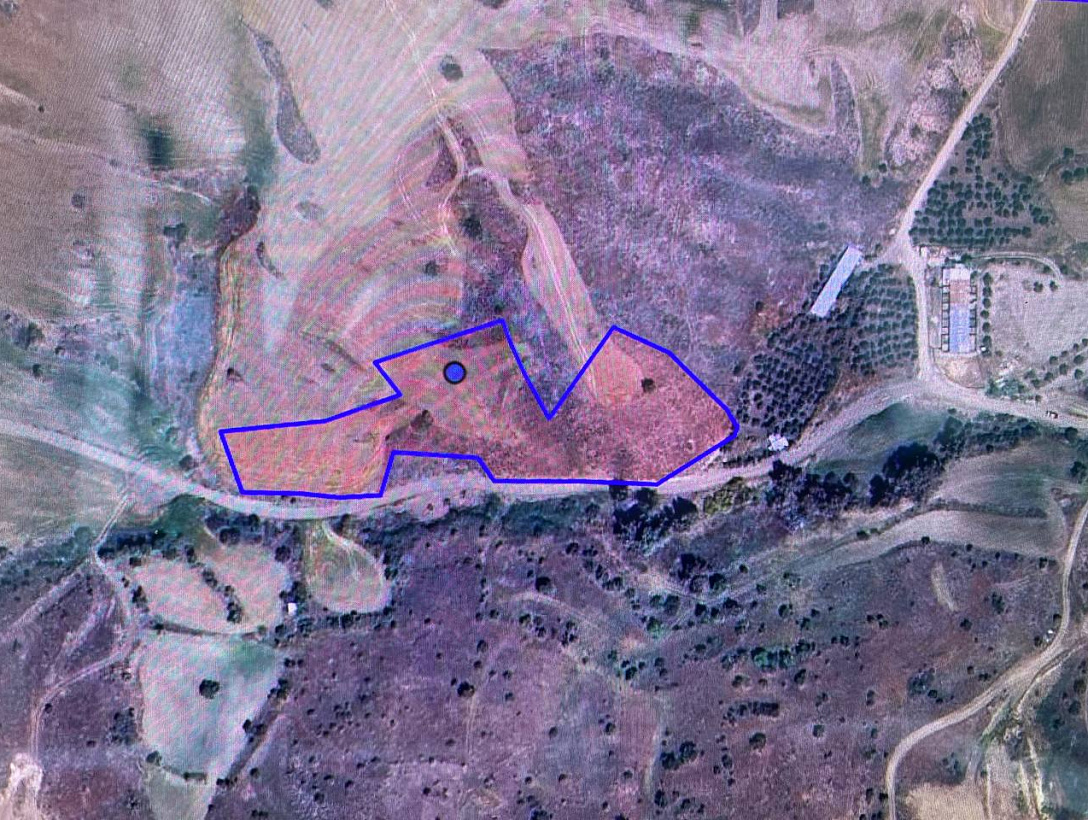 Земля в Никосии