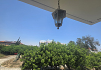 Photo 36