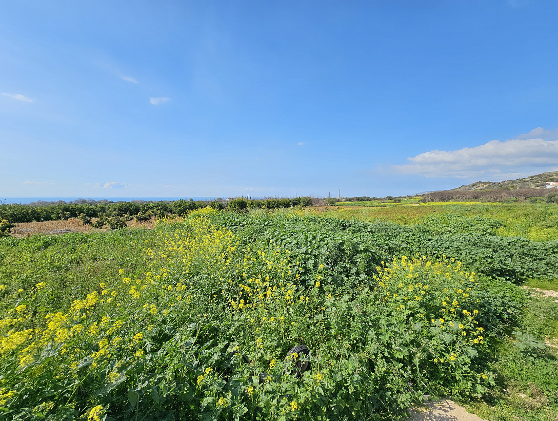 Land in Paphos
