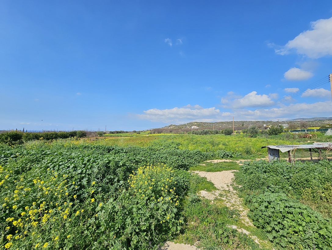 Land in Paphos