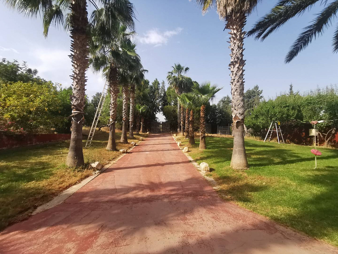 Villa in Limassol