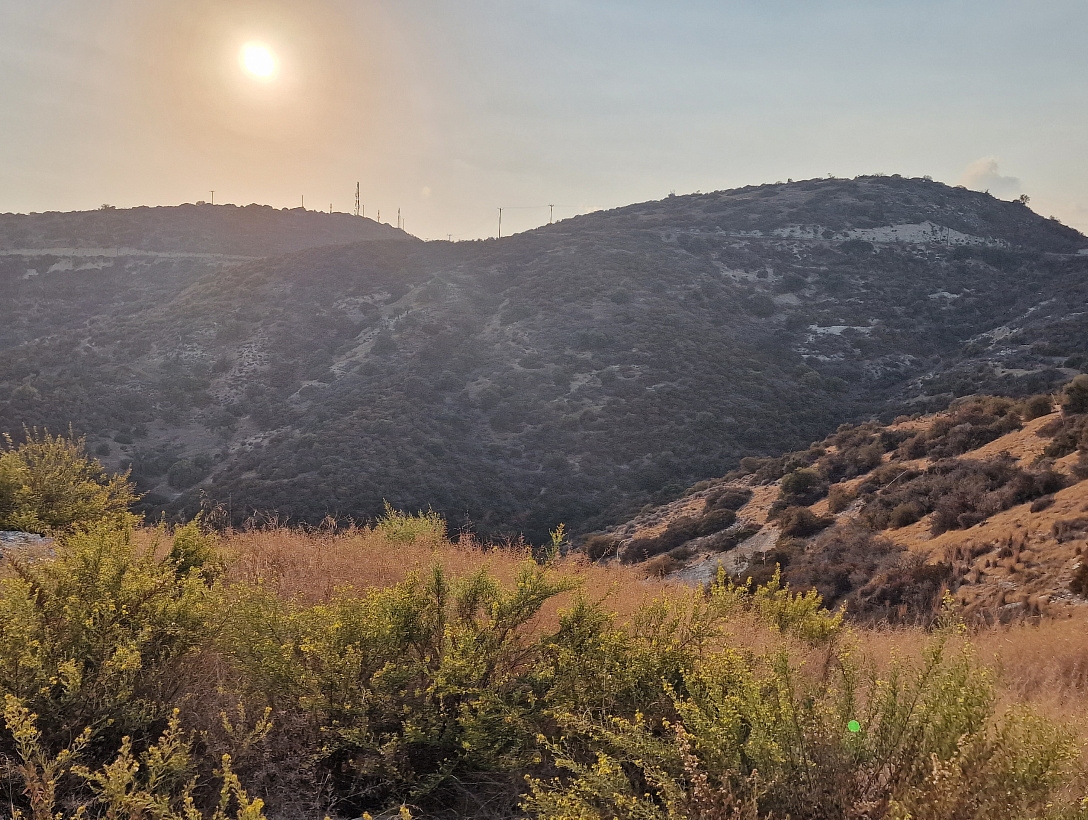 Land in Limassol