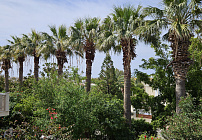 Photo 47