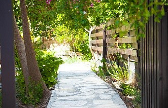 Photo 44