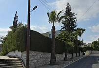 Photo 24