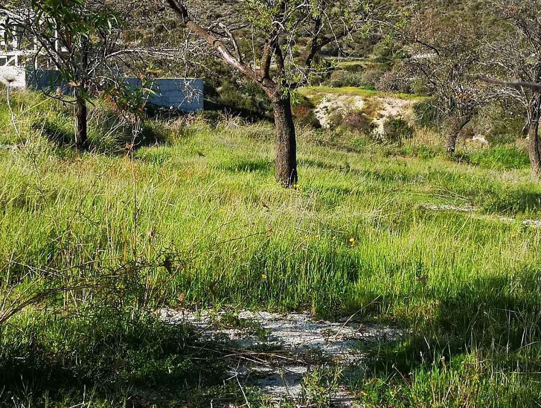 Land in Limassol