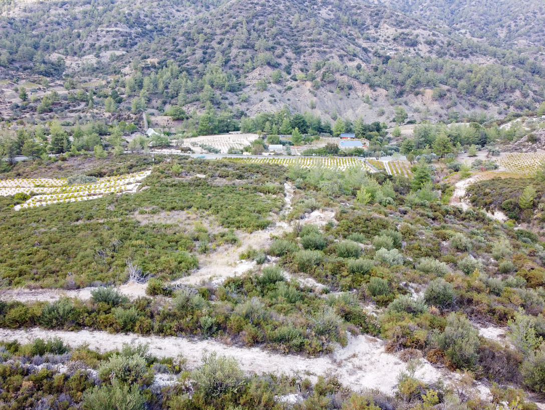 Земля в Лимассоле