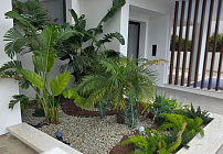 Photo 47