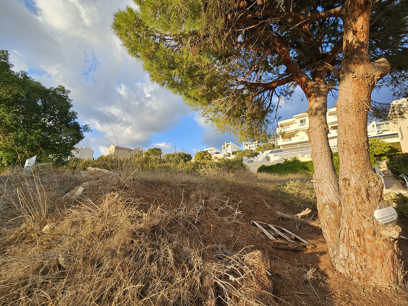 Photo 48