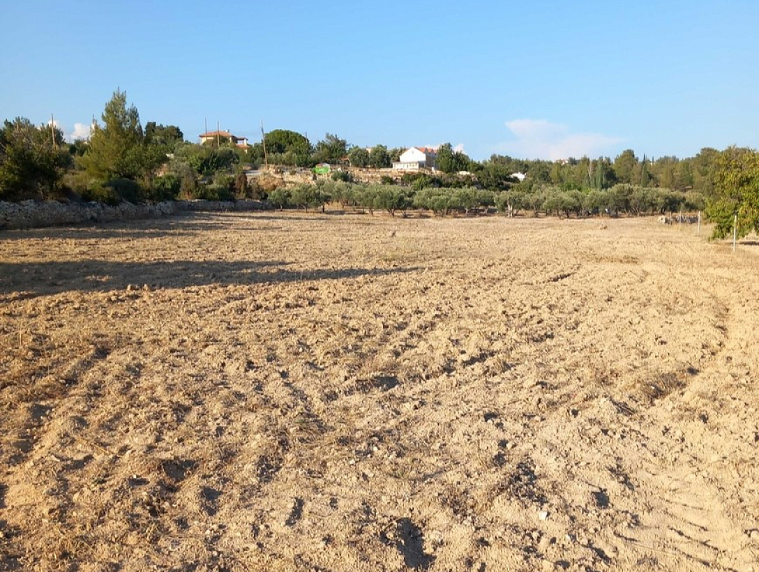 Land in Limassol