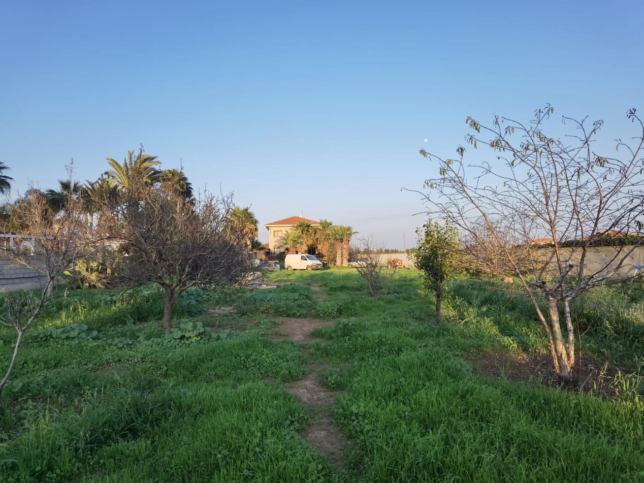 Фото 23 Фото 23