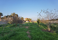 Фото 45 Фото 45