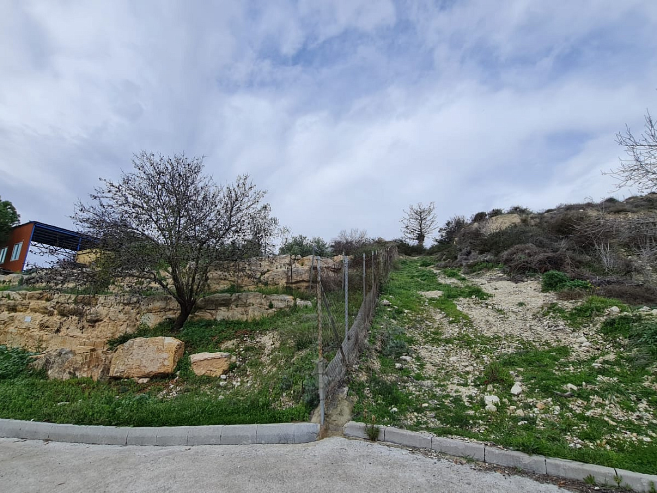 Photo 25