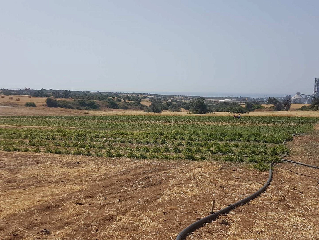 Land in Larnaca