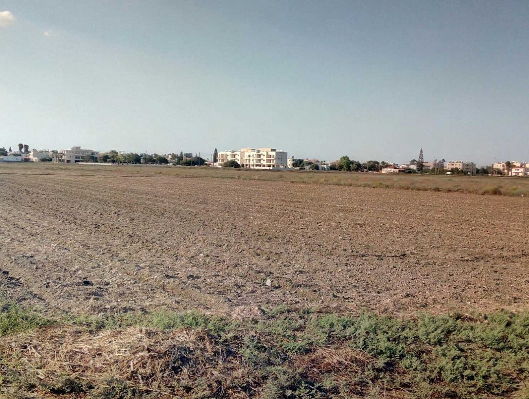 Земля в Ларнаке