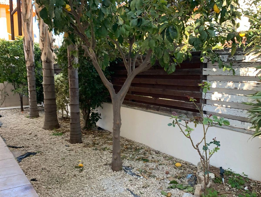 House in Limassol