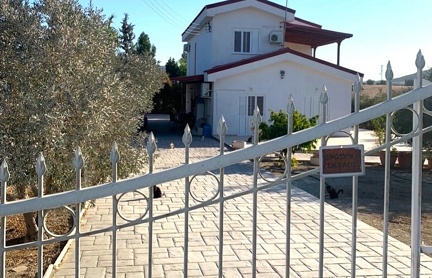 Photo 11