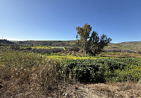 Фото 33