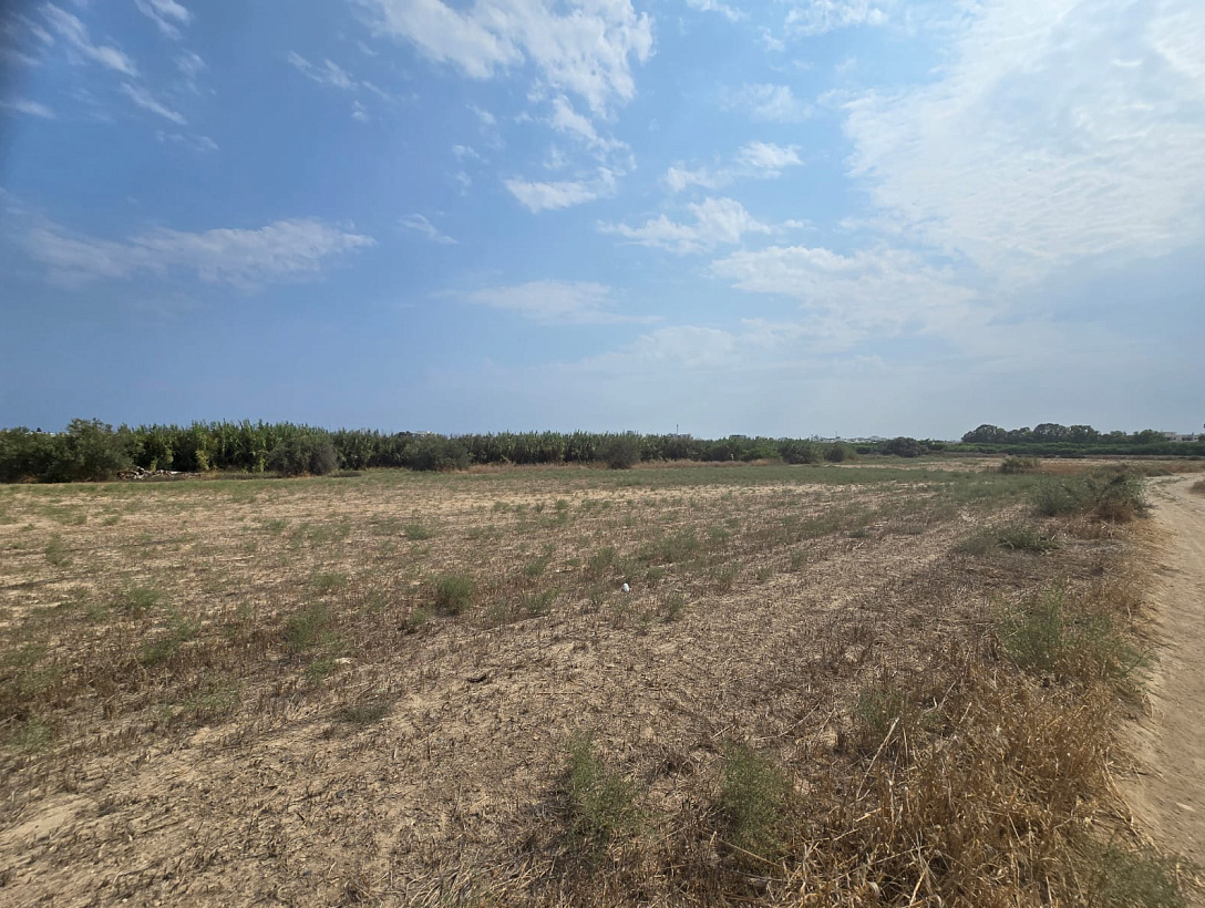 Земля в Ларнаке